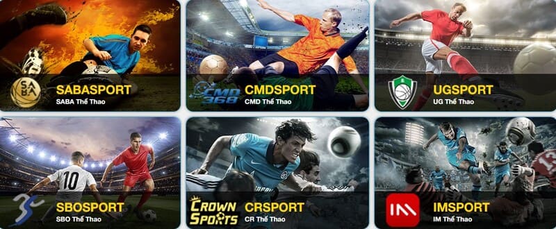 Cá cược thể thao vô cùng hấp dẫn mỗi ngày